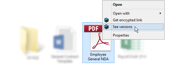 Right click on the file and choose 'see versions' option