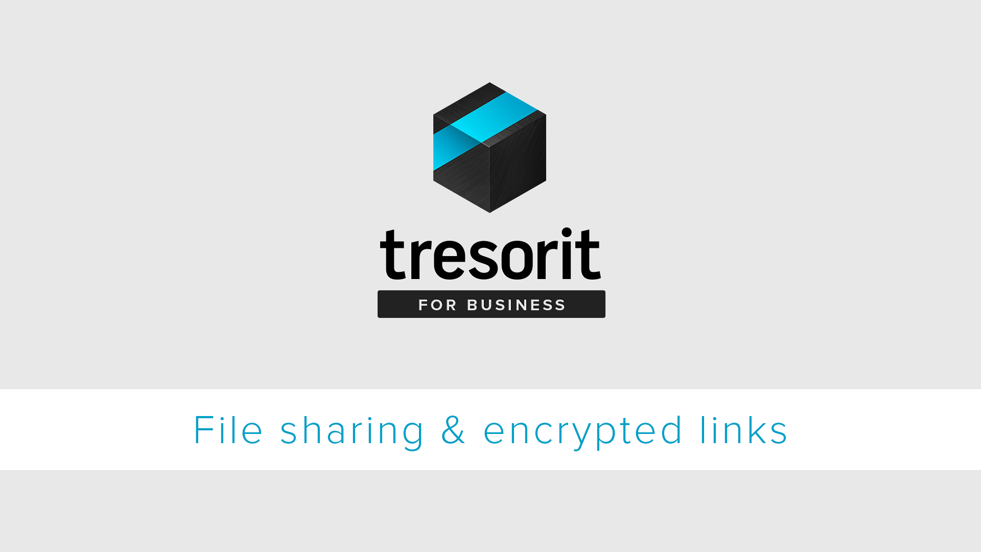 How to Share Large Files Securely With Anyone