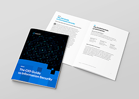 The CIO Guide to Information Security